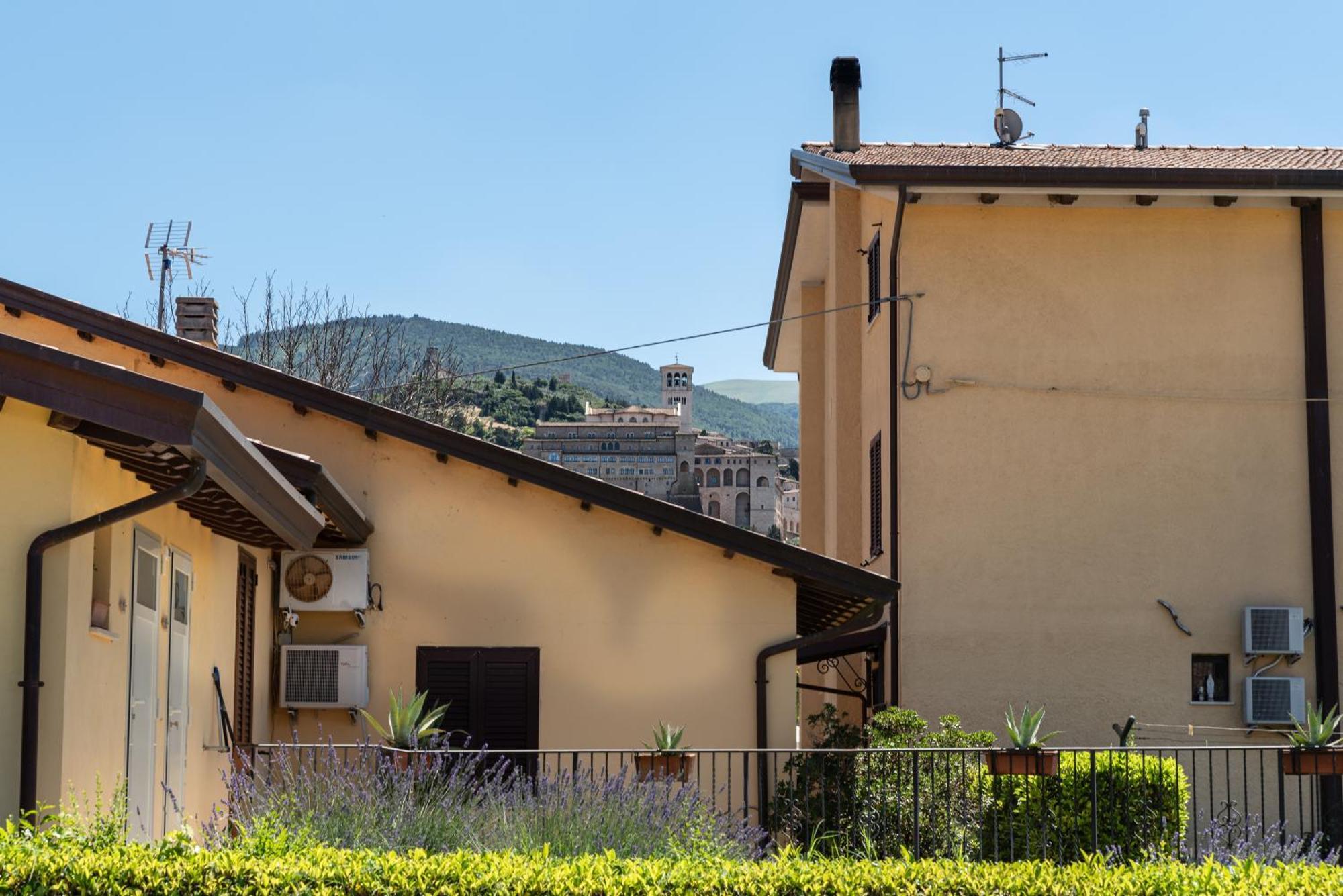 Agriturismo Il Girasole Assisi Bagian luar foto