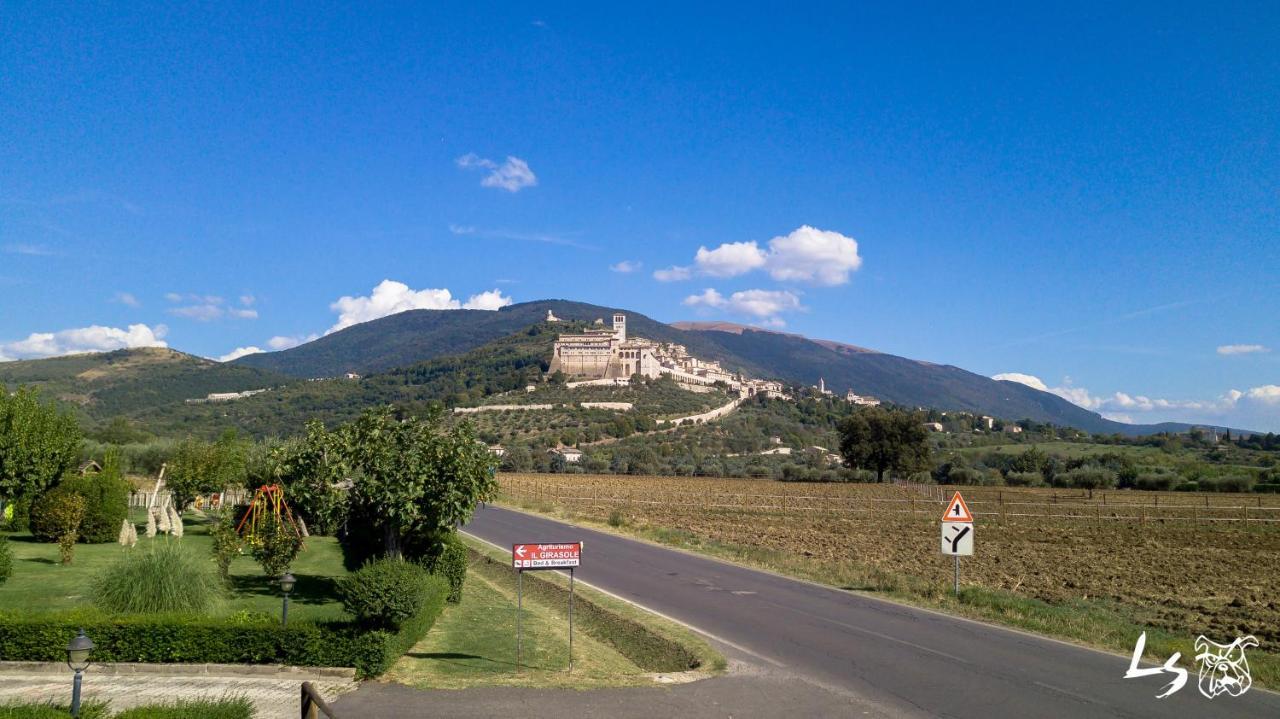 Agriturismo Il Girasole Assisi Bagian luar foto