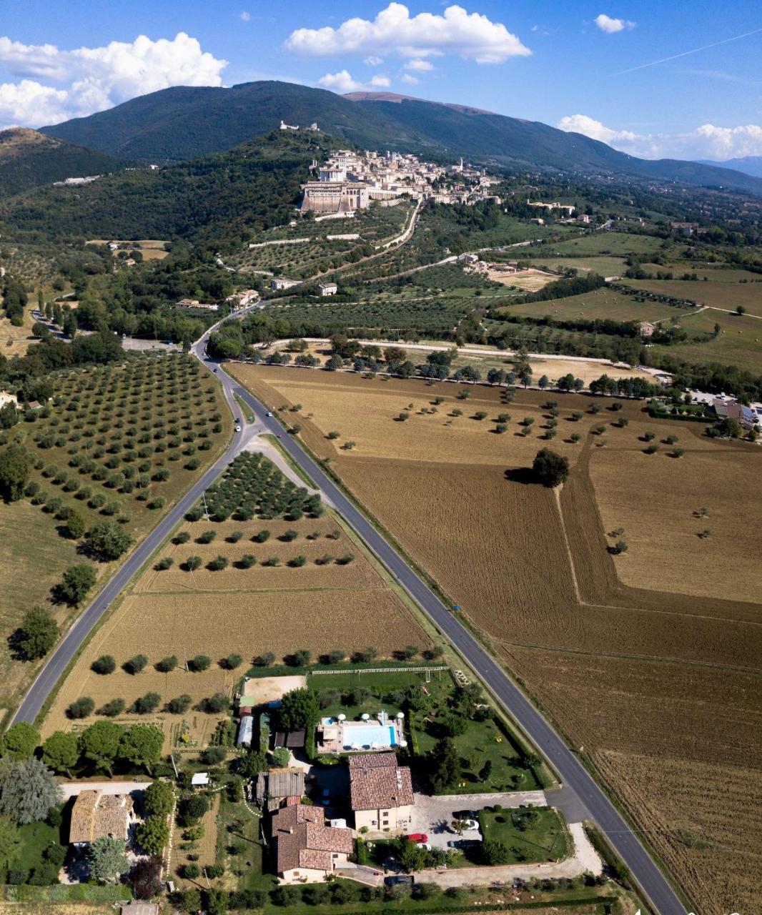 Agriturismo Il Girasole Assisi Bagian luar foto