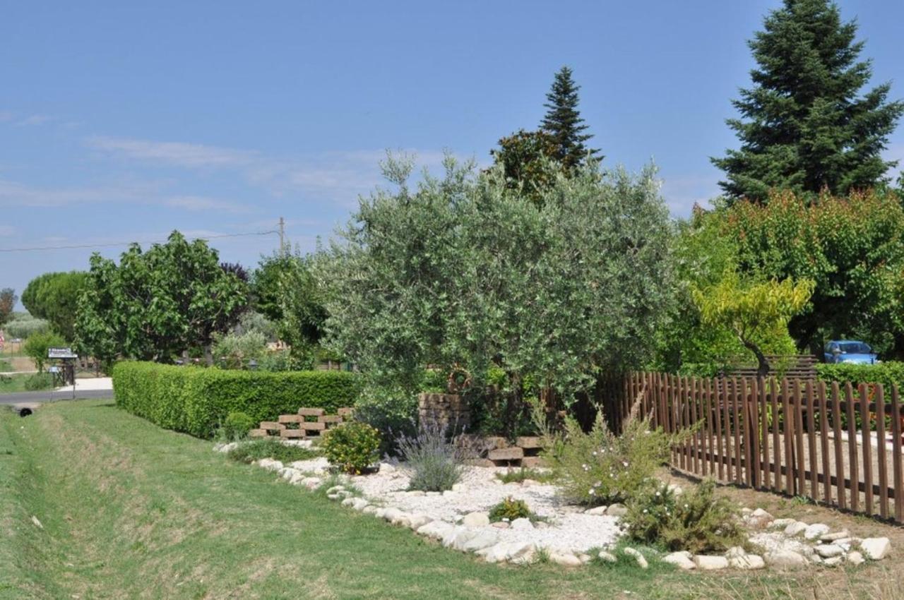 Agriturismo Il Girasole Assisi Bagian luar foto