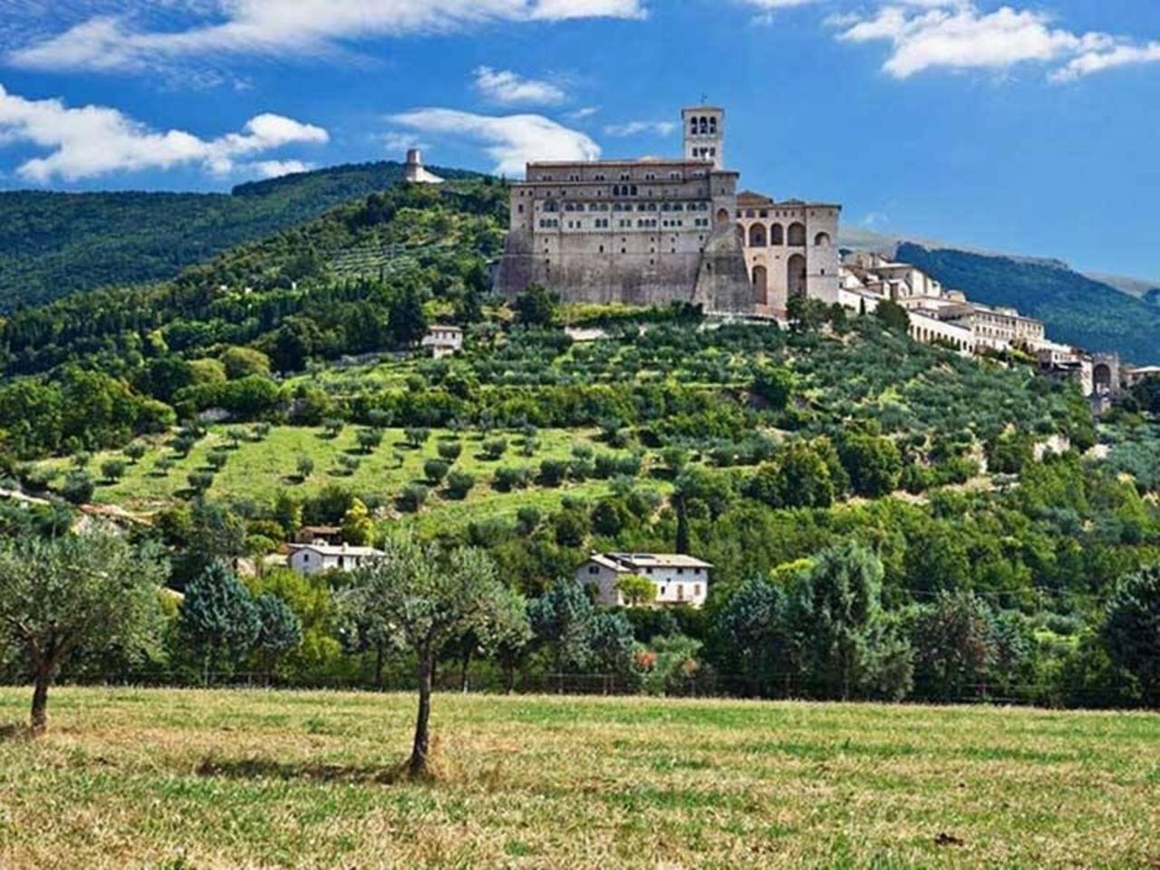 Agriturismo Il Girasole Assisi Bagian luar foto